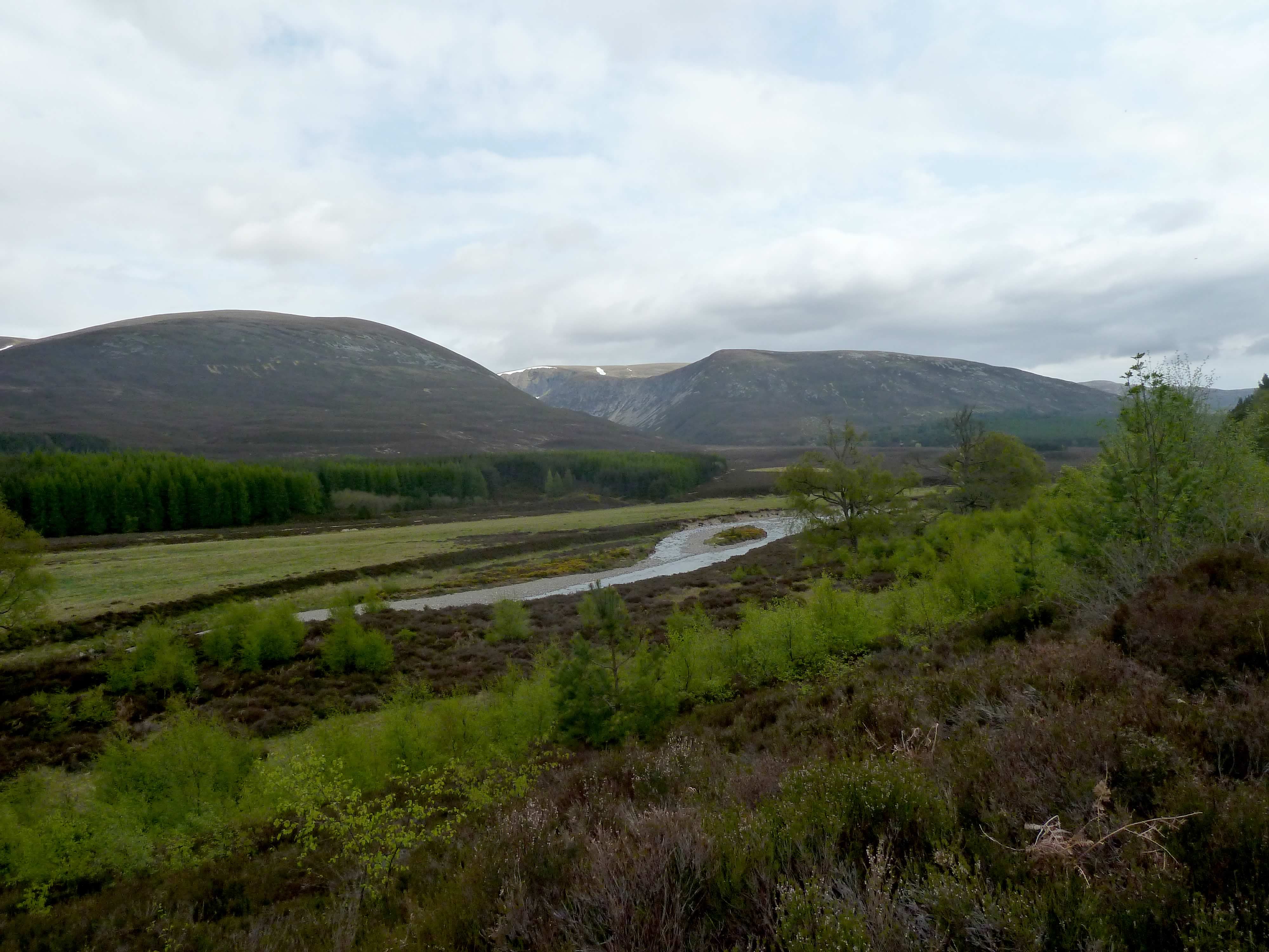 P1070256