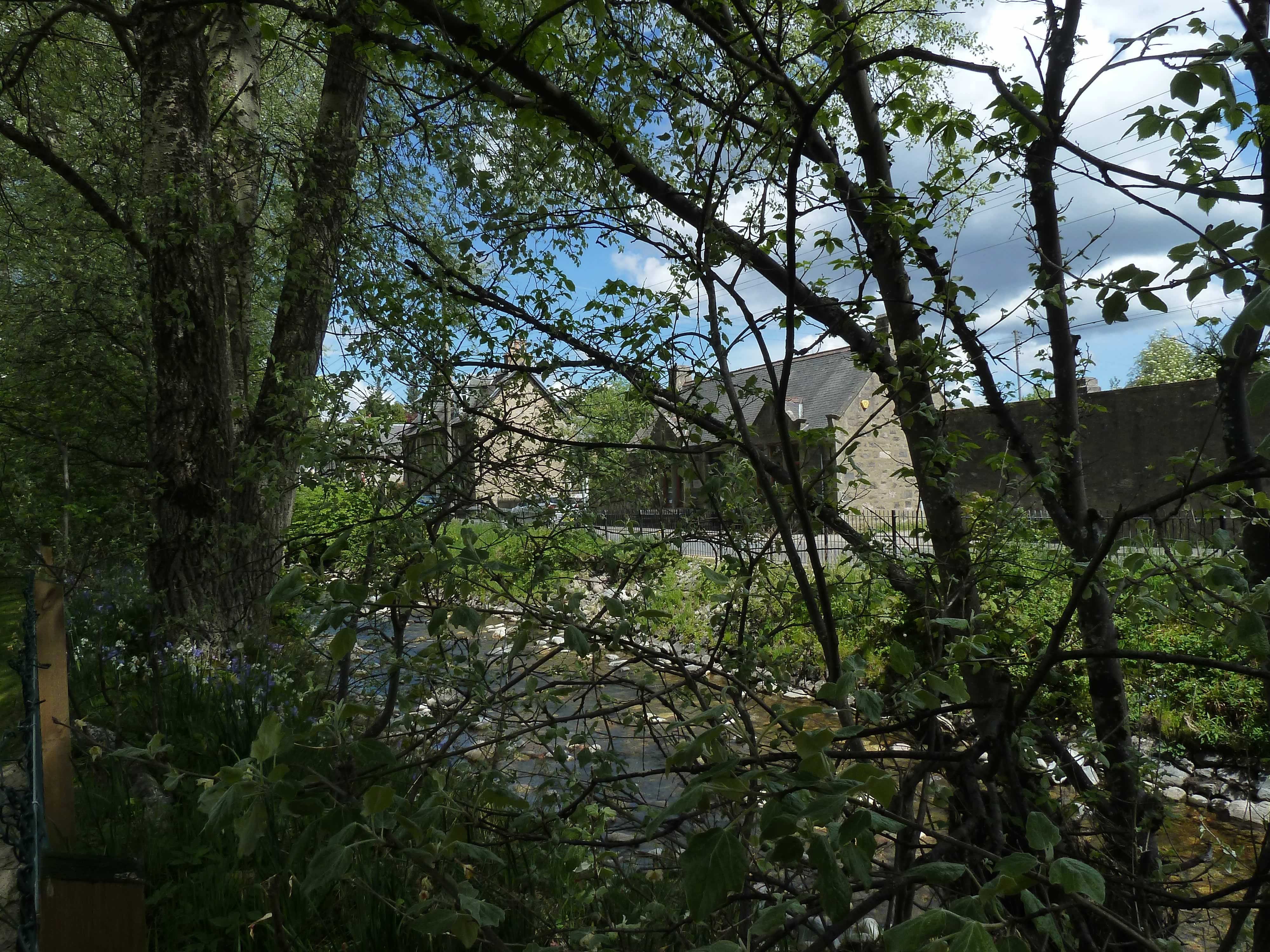 P1070358