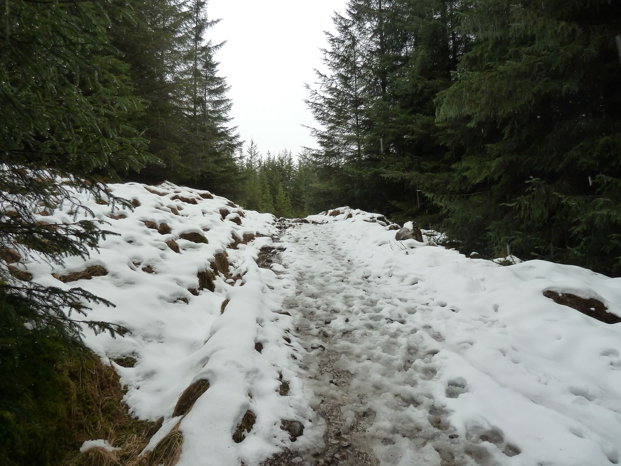The West Highland Way - www.simonking.bike