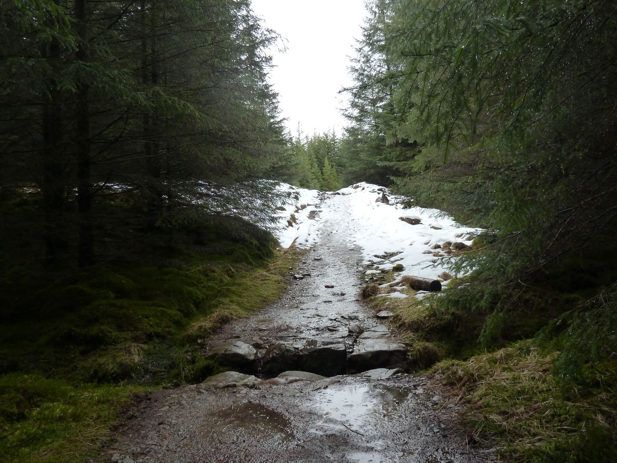 The West Highland Way - www.simonking.bike