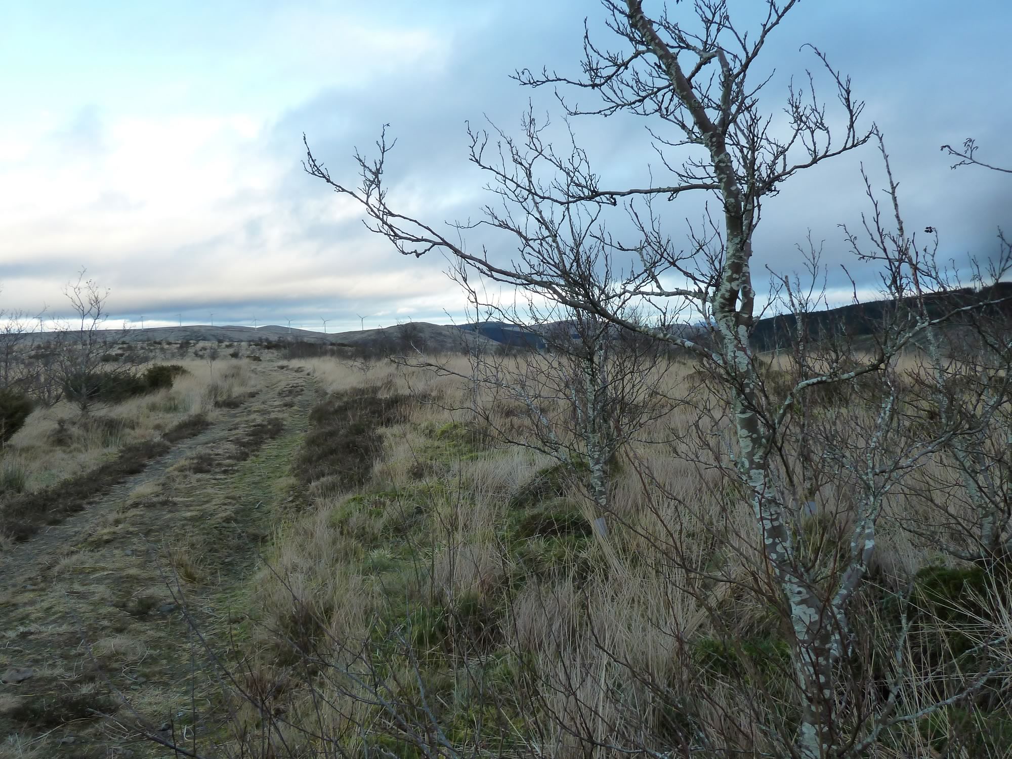 Hill walking in Scotland - www.simonking.bike