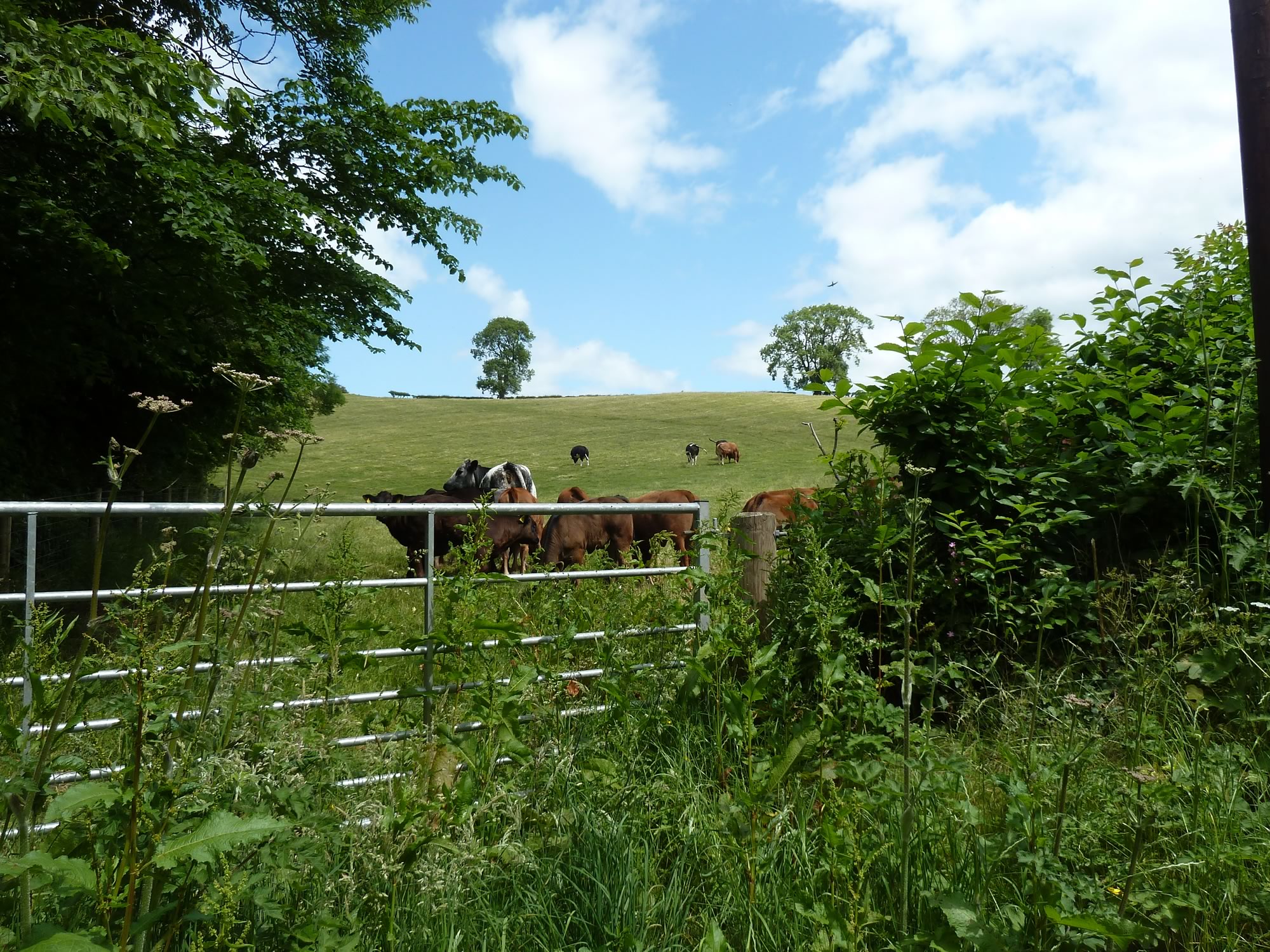 Cycling from the Scottish Borders to Northumberland, England - www.simonking.bike