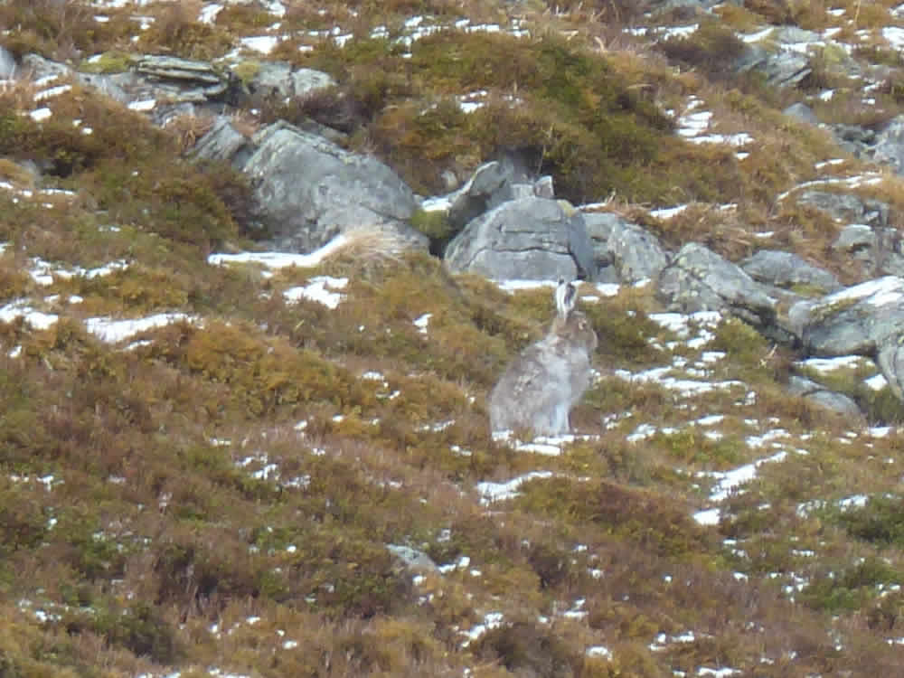 Hillwalking in Perthshire - www.simonking.bike