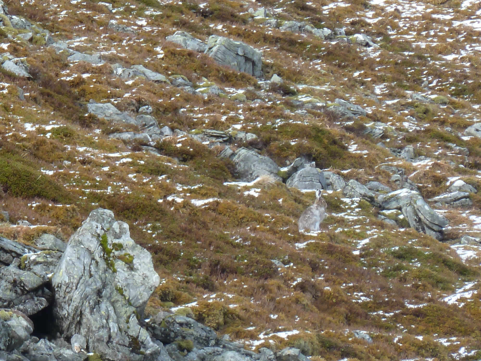 Hillwalking in Perthshire - www.simonking.bike
